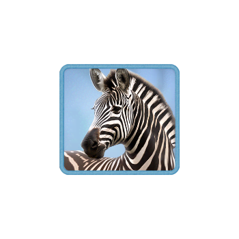safari-wilds_symbol_h_zebra_a